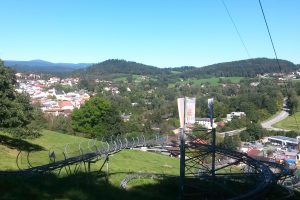 Baerenbob_Grafenau 16